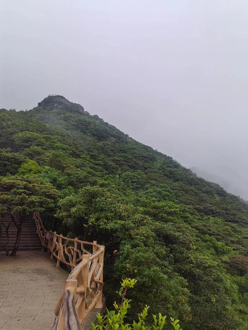 做梦梦到爬山很高很陡_1