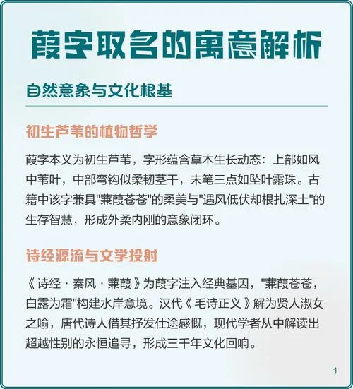 诗经哲学起名_2