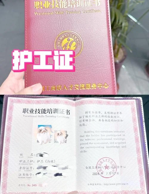 到哪里报考护工证书好_2
