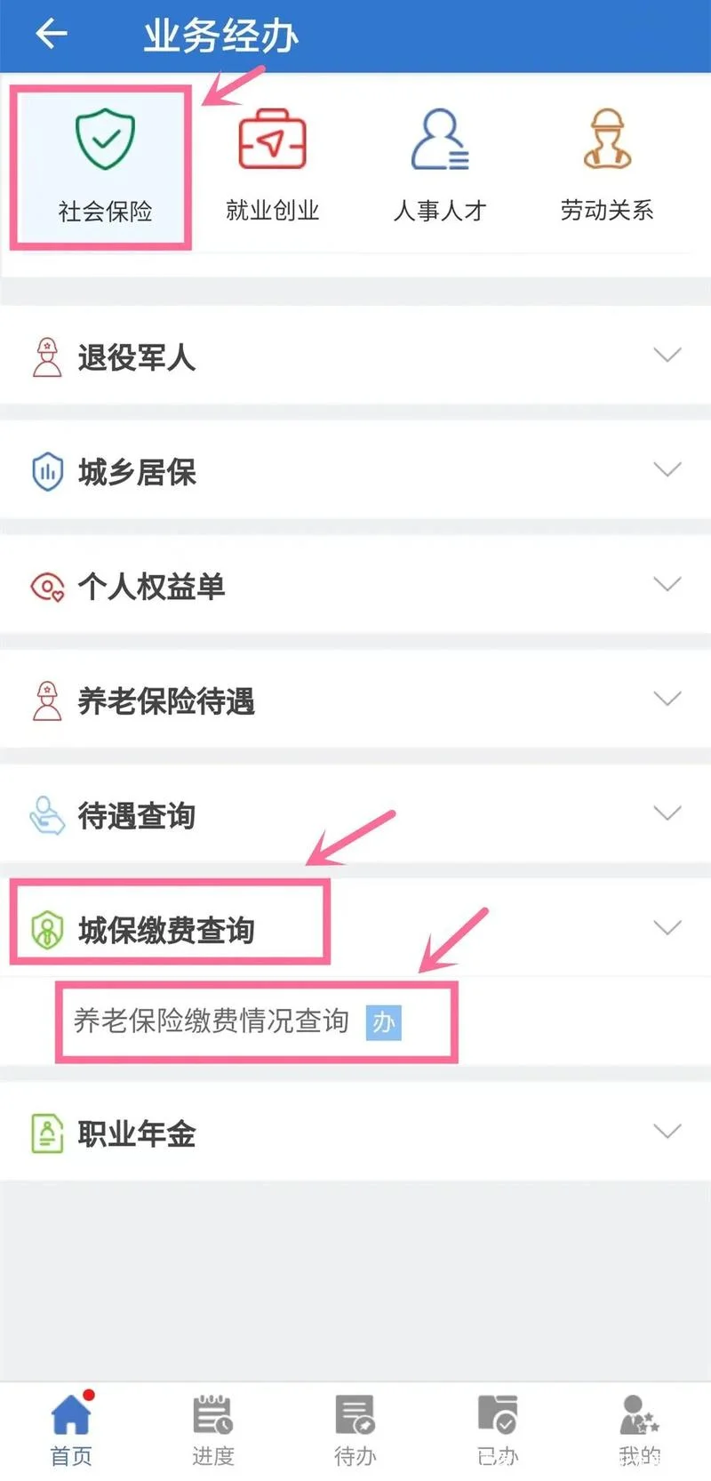 查养老保险在哪里查-养老保险查询入口