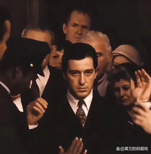 教父2结局_1
