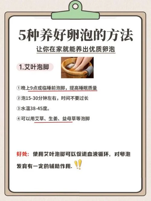 如何查卵泡_1
