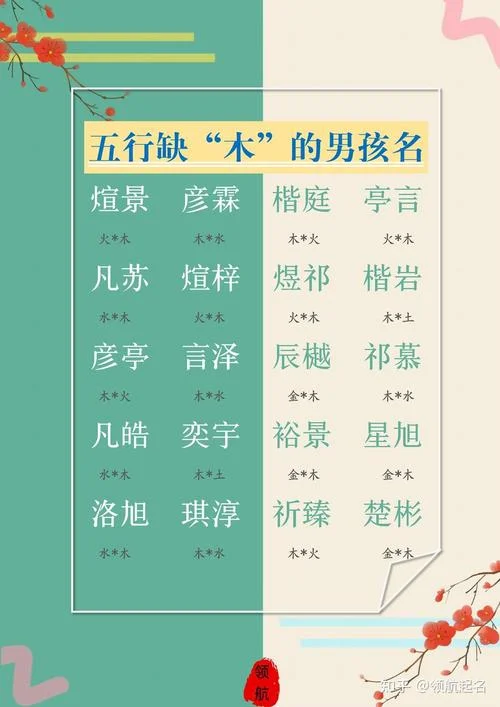 猴年男宝宝起名字_1