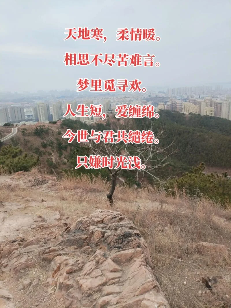 相思已成灰出处_1