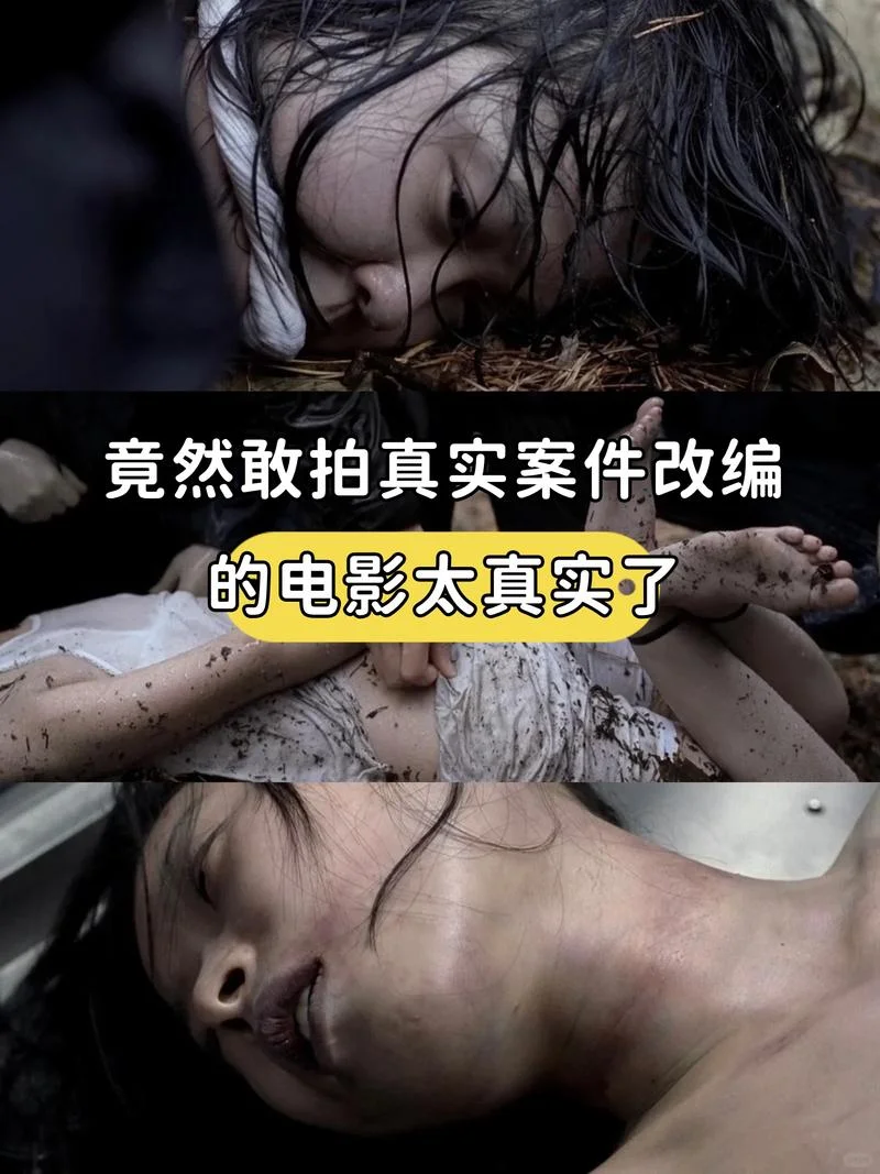 真相禁区的详细剧情-真相禁区详细剧情