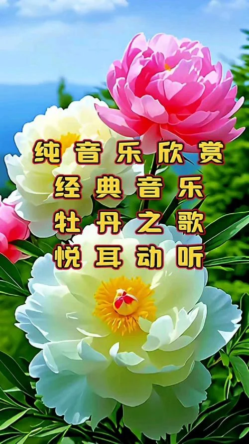 史上最经典的纯音乐_2