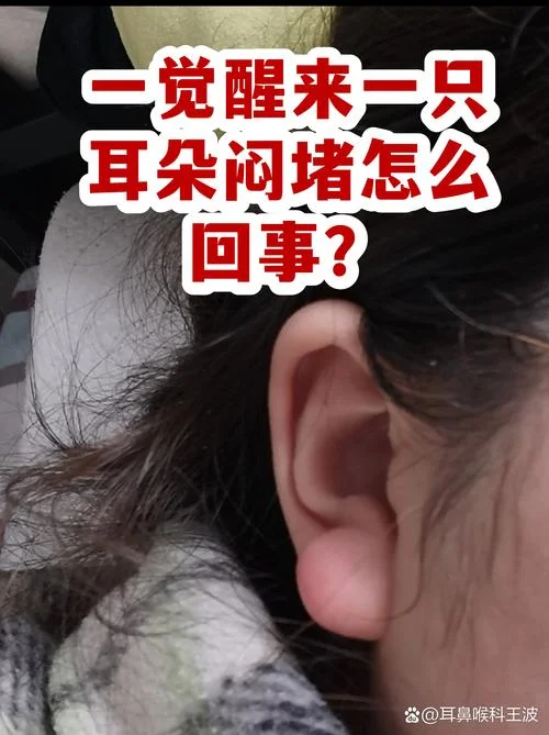 梦见耳屎堵住耳朵_2