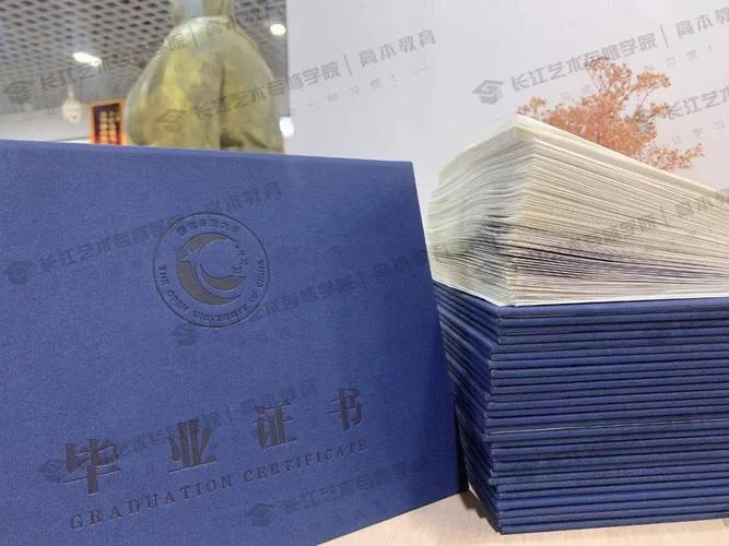 大学毕业证书查询_1