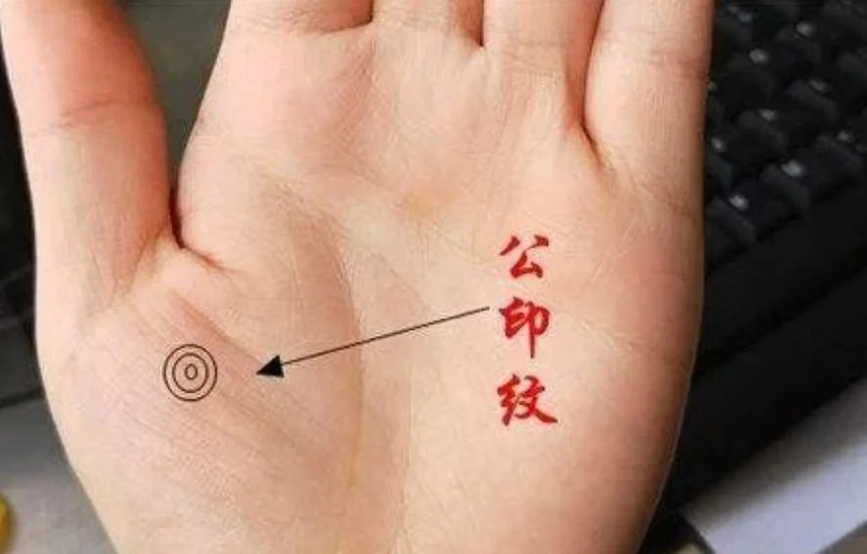 考上公务员的手相_2