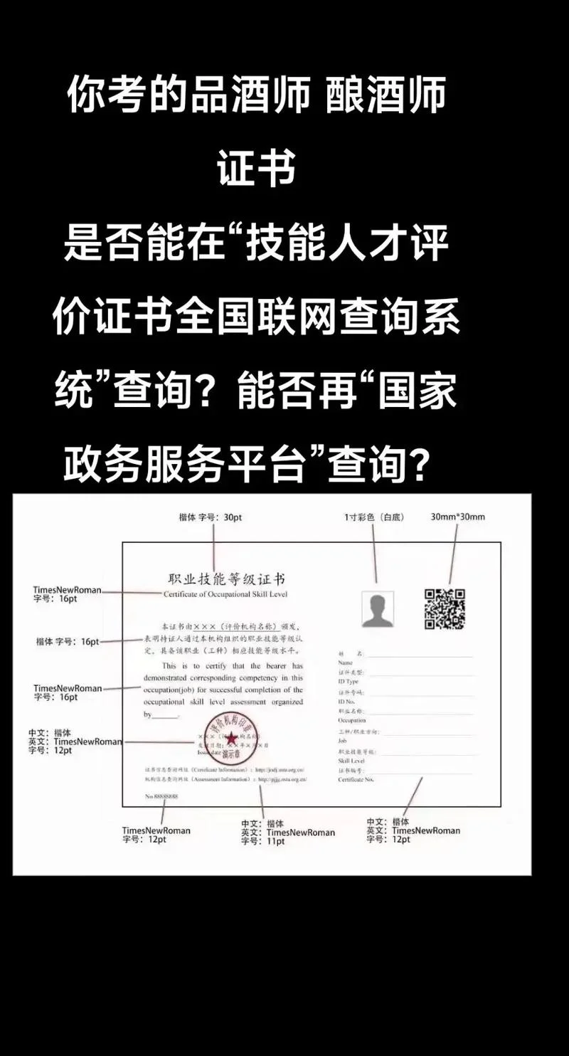 技能人才评价证书官网入口查询-