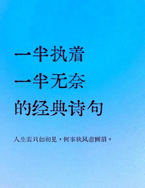 诗句经典语录人生感悟_1