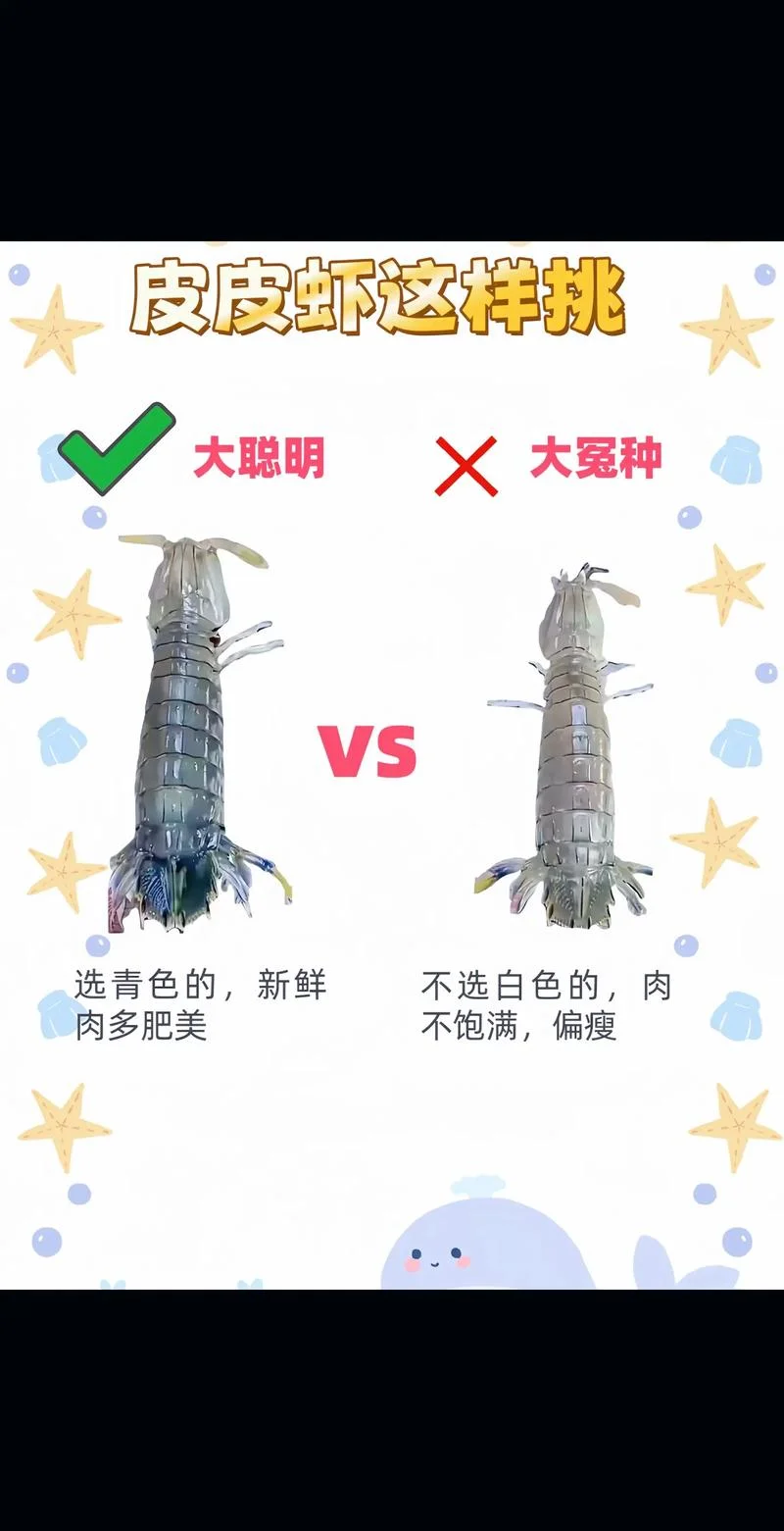 皮皮虾几月_1