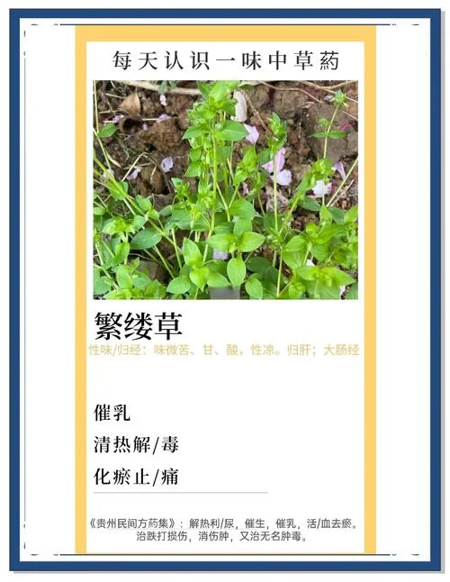 葳蕤出自哪里_1