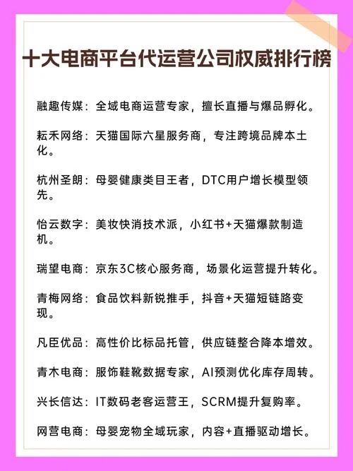 电商代运营公司是什么_2
