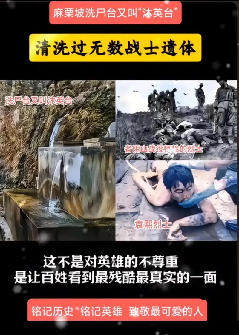 英雄不问出处作死_2