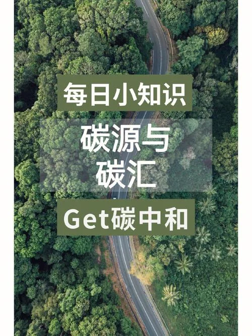 什么是林业碳汇_1