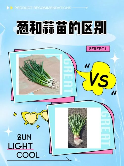 大葱装蒜歇后语下一句_1
