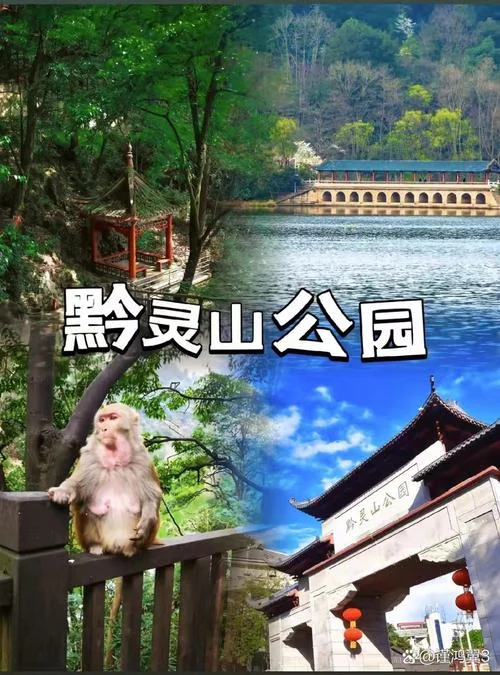 贵阳市内景点免费_2