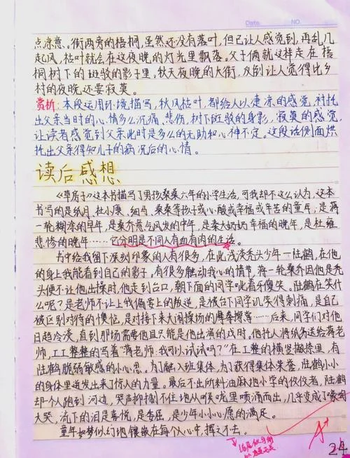 草房子第9章感悟_2