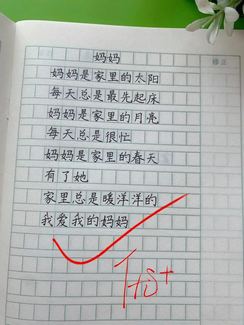 给孩子的诗作者是谁_1
