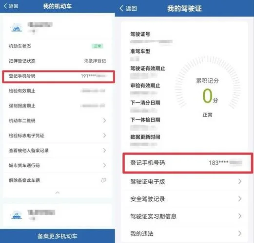 如何查自己驾驶证_2