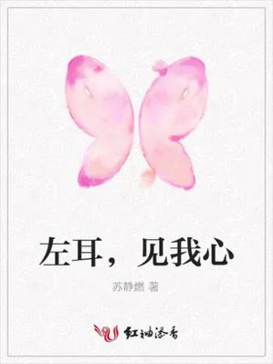 左耳是谁写的小说-左耳是哪部小说