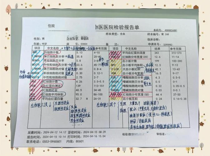 体检血常规检查项目表_2
