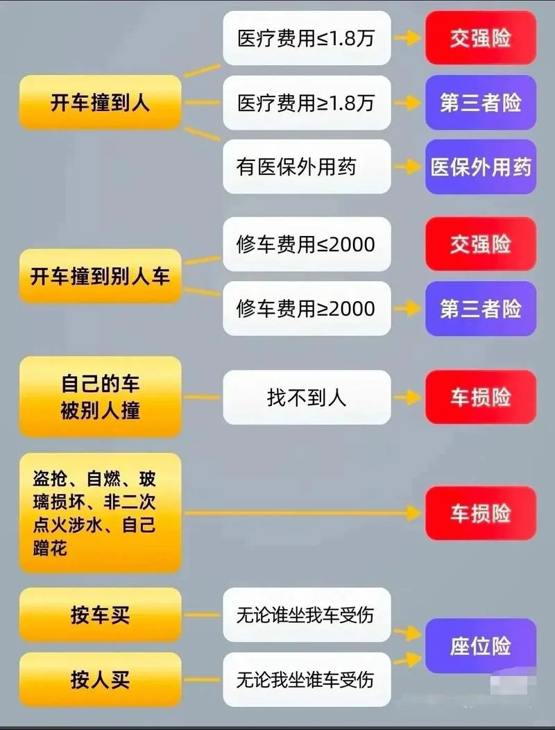 怎么查车辆保险在哪里_2