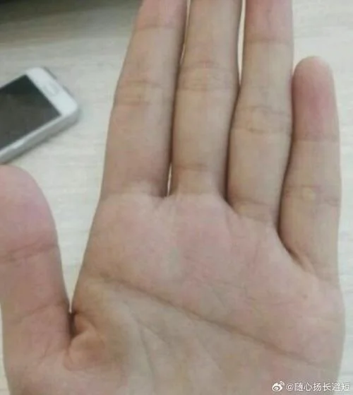 男人手相左手断掌纹_1