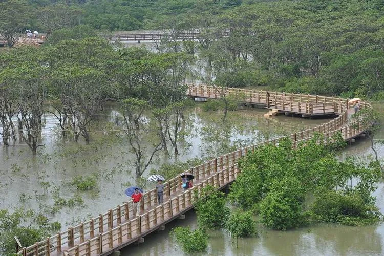 福建省云霄县旅游景点-福建云霄旅游胜地
