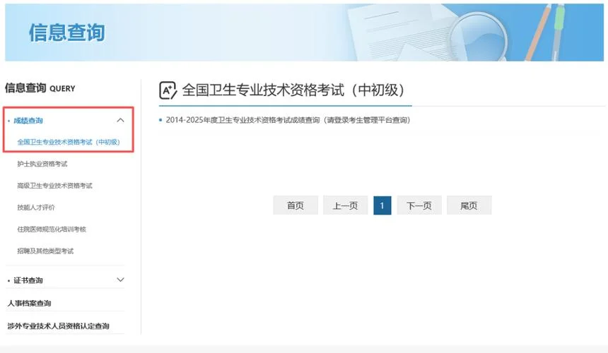 卫生人才网成绩查询入口_1