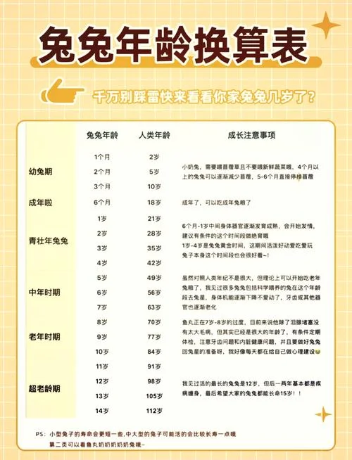 兔的桃花劫在哪一年-兔年桃花劫