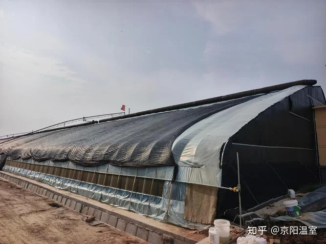 建一亩温室大棚得多少钱-建一亩温室大棚造价