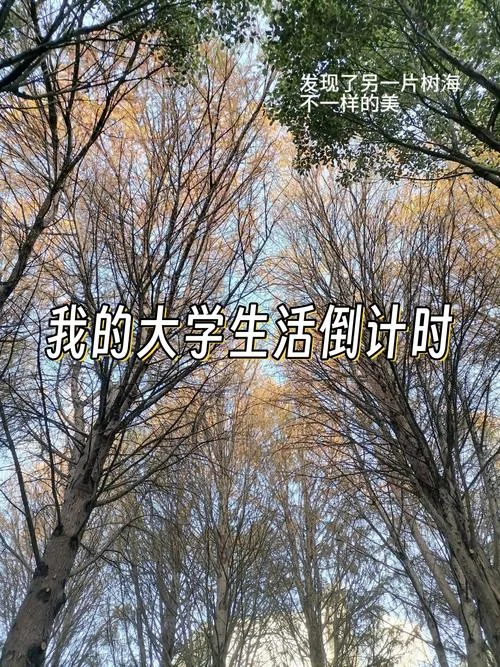怀念大学时光感悟_1