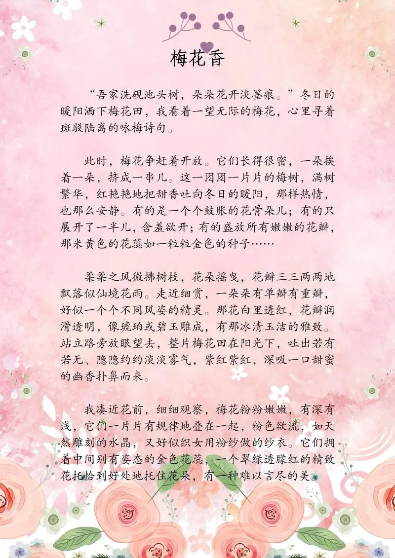 梅花写作文400字_2