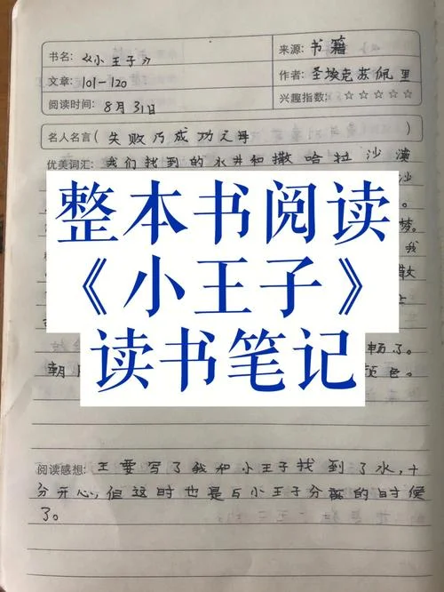 小王子好句摘抄和感悟-小王子好句感悟精选