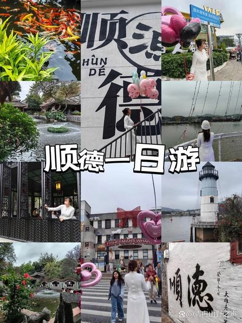 顺德一日游最佳路线_1