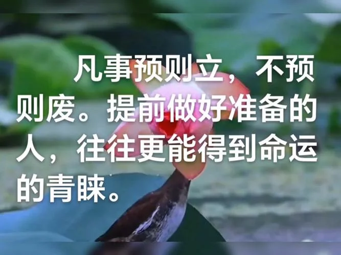 凡事提前做好准备感悟_1