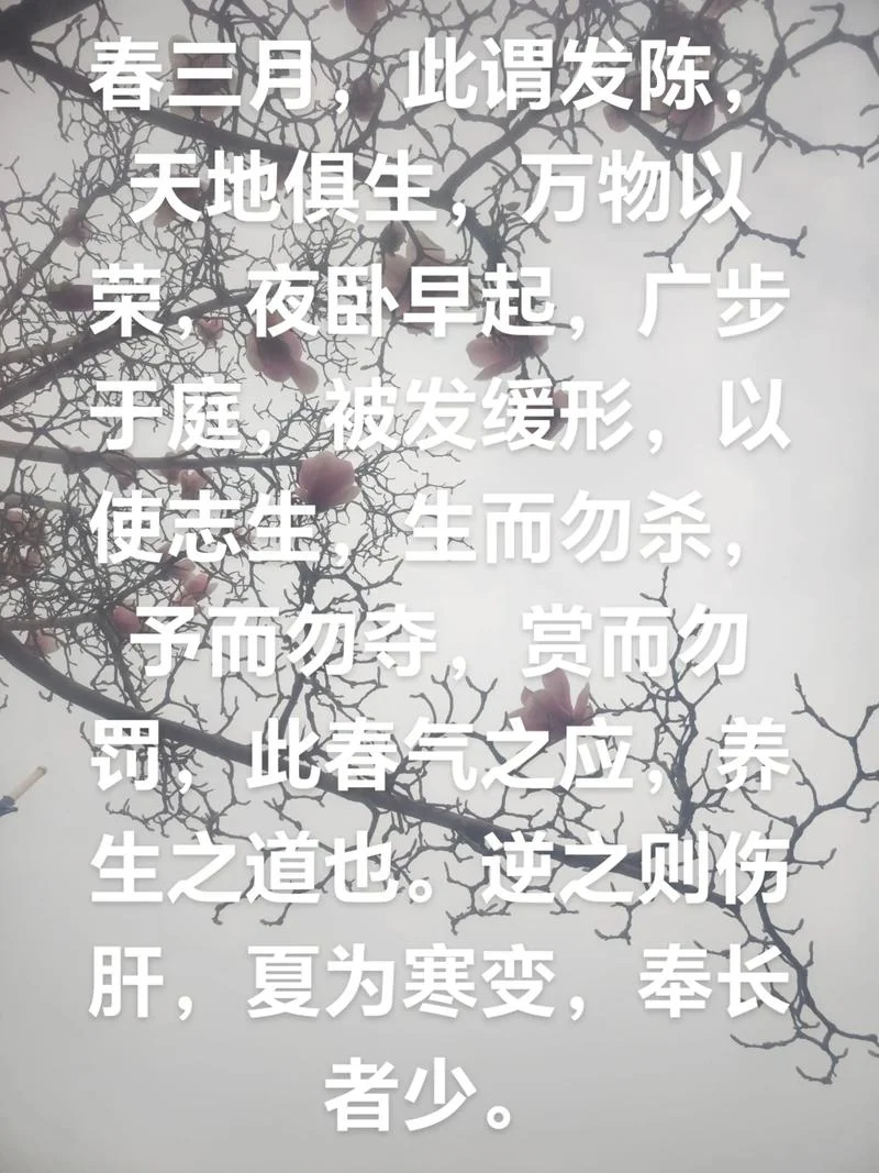 三春暖下一句什么_1