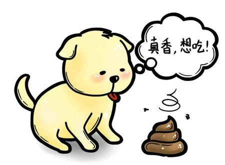 梦见倒屎-梦见倒屎