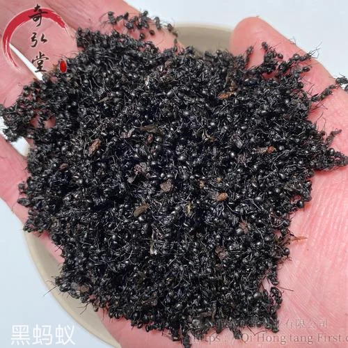 已婚女人梦见黑蚂蚁_1