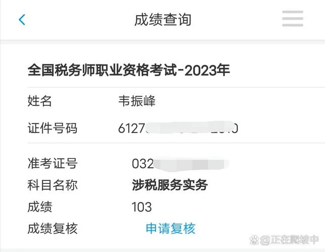 税务师改代码查成绩_1