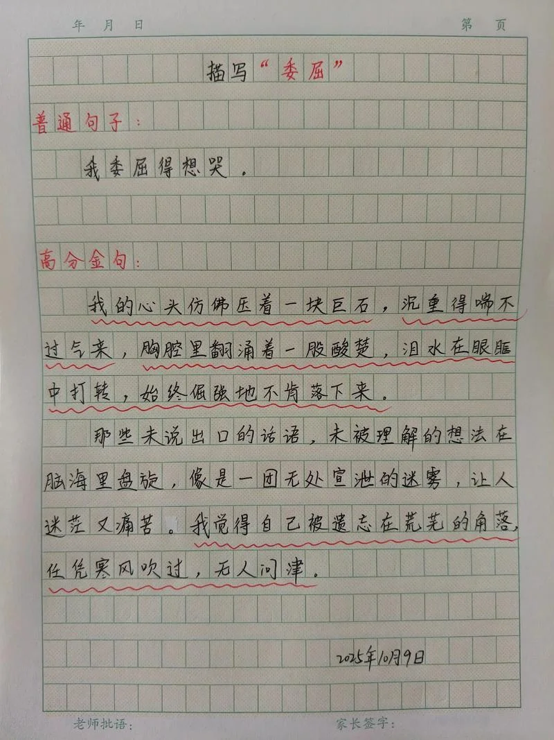 关于委屈的作文怎么写-关于委屈作文怎么写