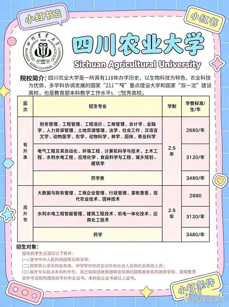 成都成人高考怎么报名-成都成考报名流程
