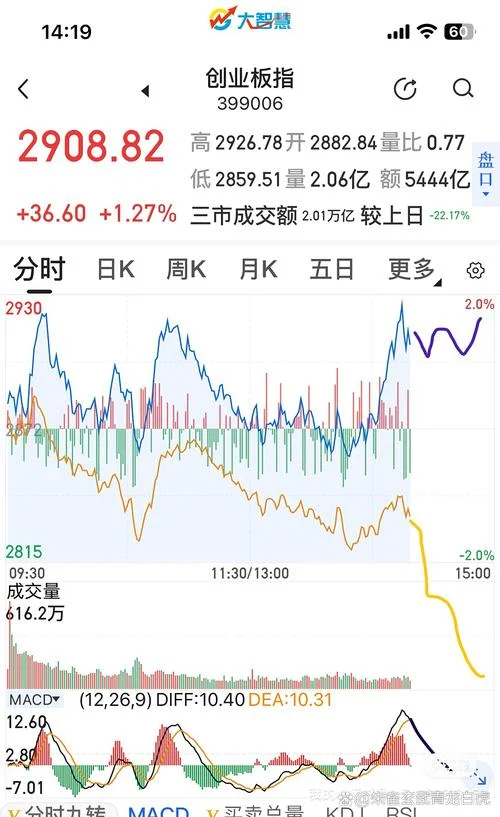 创业板市盈率在哪查_2