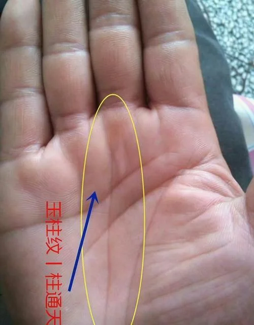 手相三根线怎么区分_2