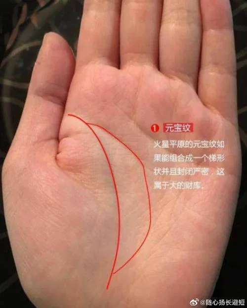 手相上的金元宝_2