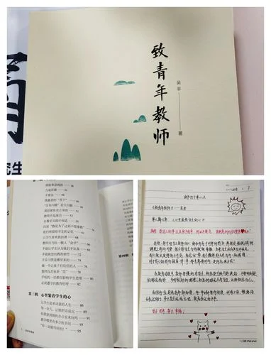 《致青年教师》摘抄与感悟-《致青年教师》摘抄感悟