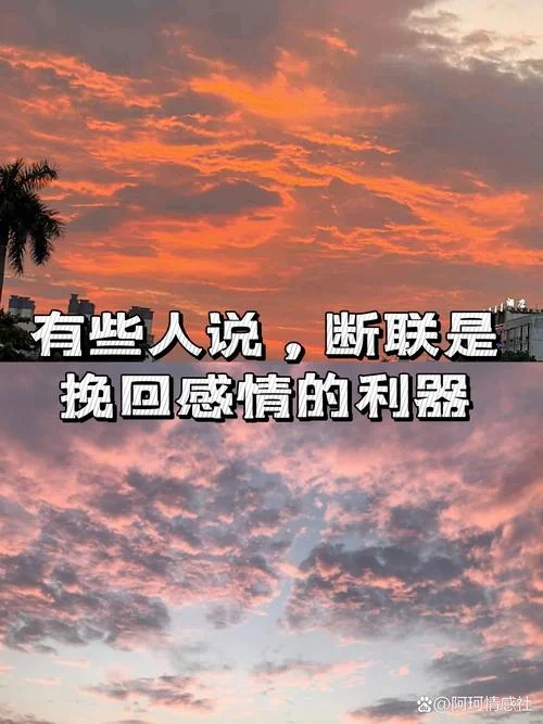 挽回感情感悟_2