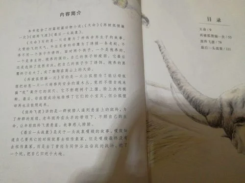 最后的战象读后感25字-战象读后感 25 字